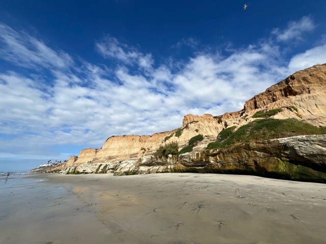 Coastal cliffs, beach, and sweeping sky